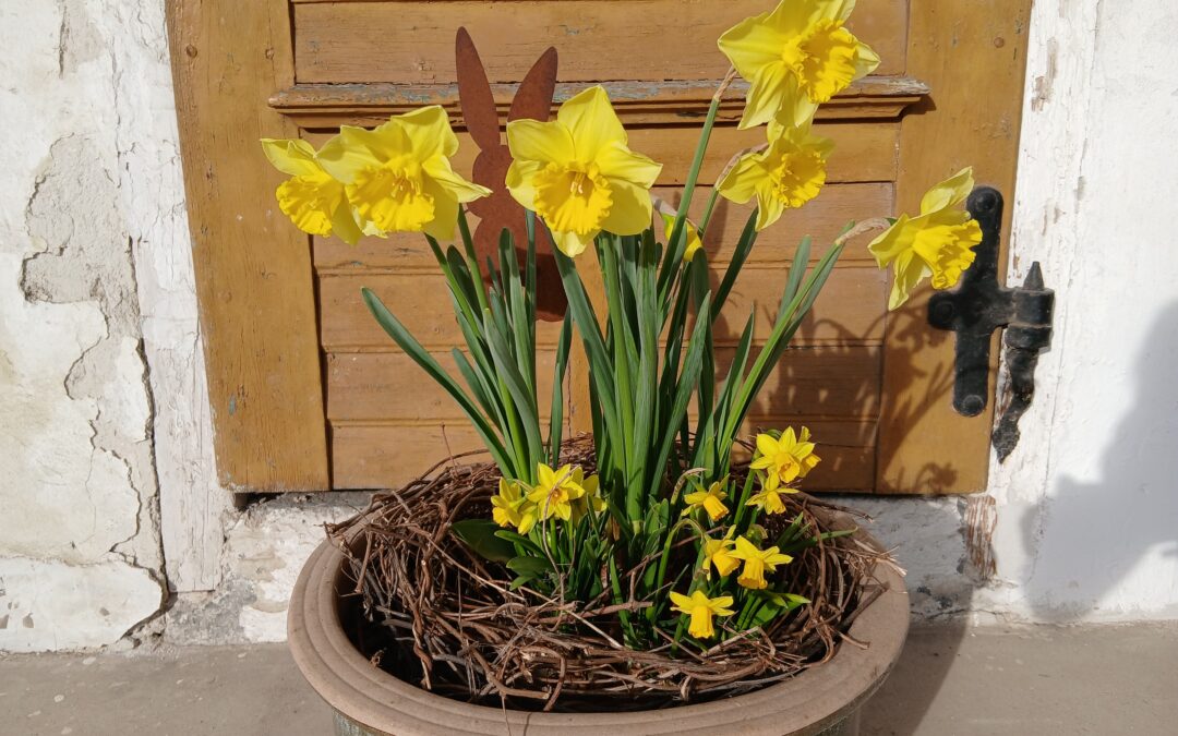 Der 5 Minuten Frühlings-Blumentopf