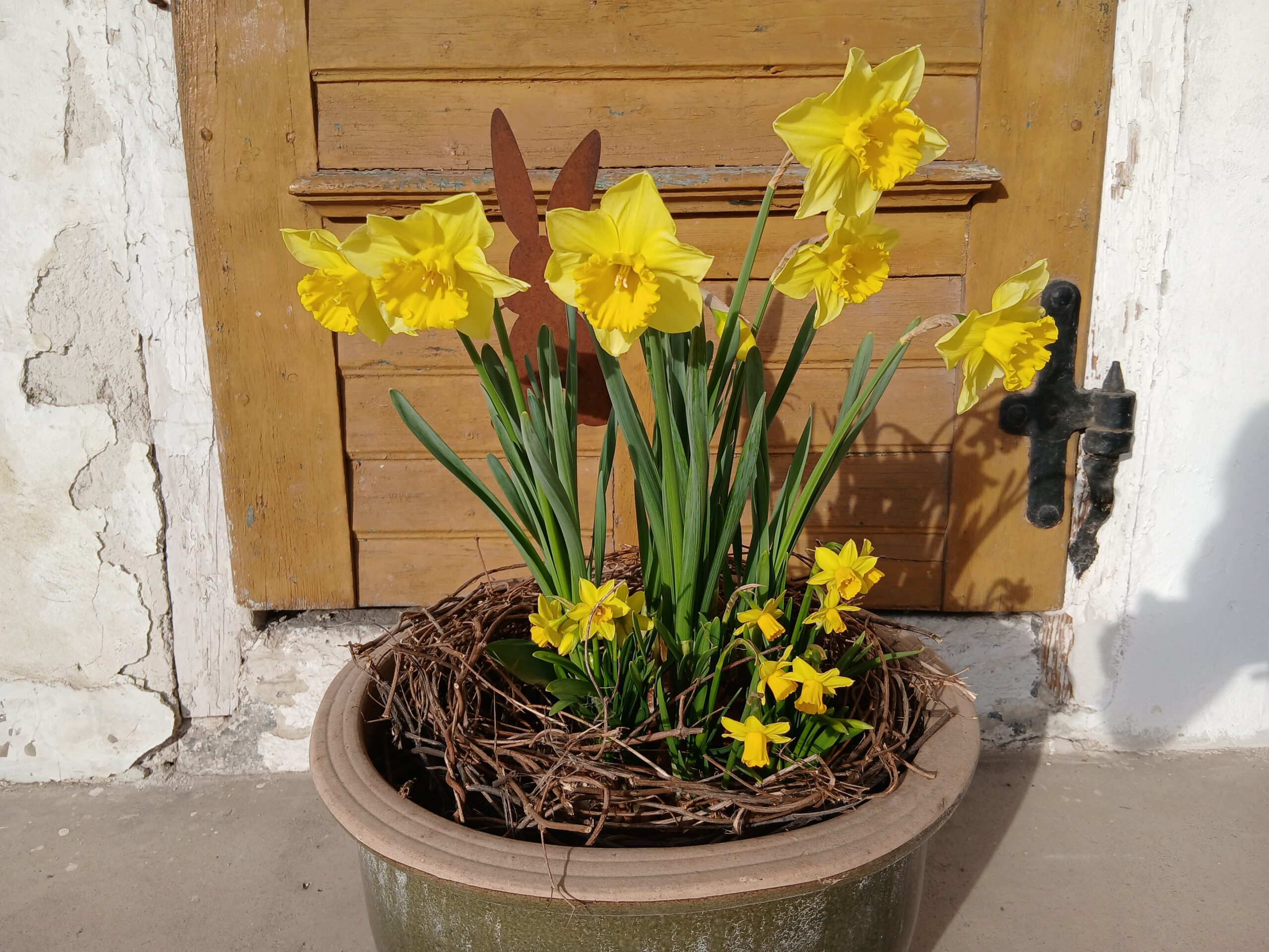 Narzissen und ein Deko-Stab in einem Blumentopf