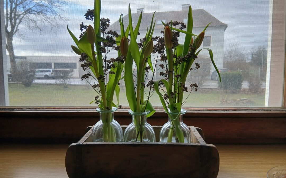 Es wird Frühling in der Ziegelform