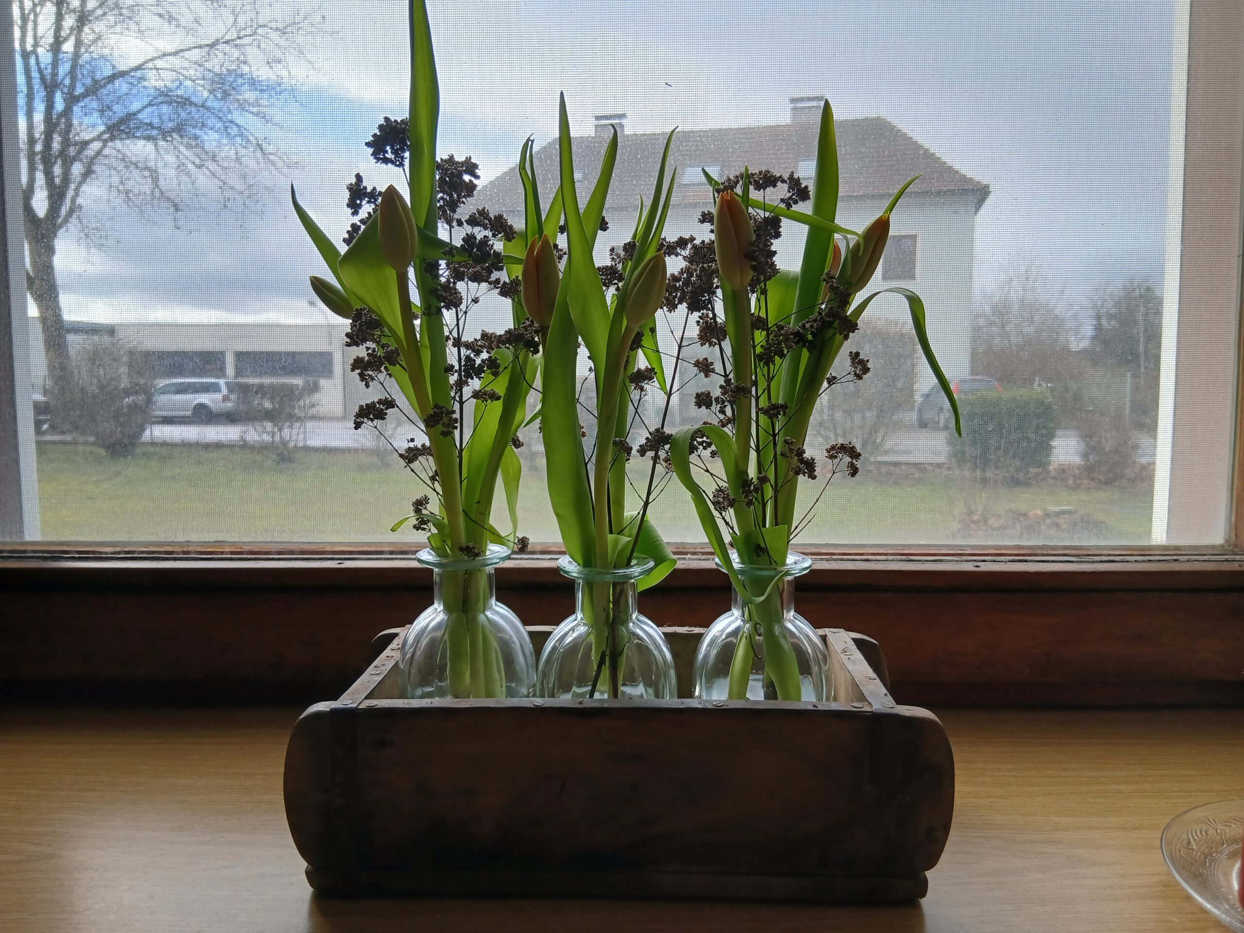 Glasvasen mit Tulpen in einer Ziegelform