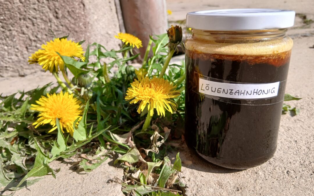Löwenzahnhonig