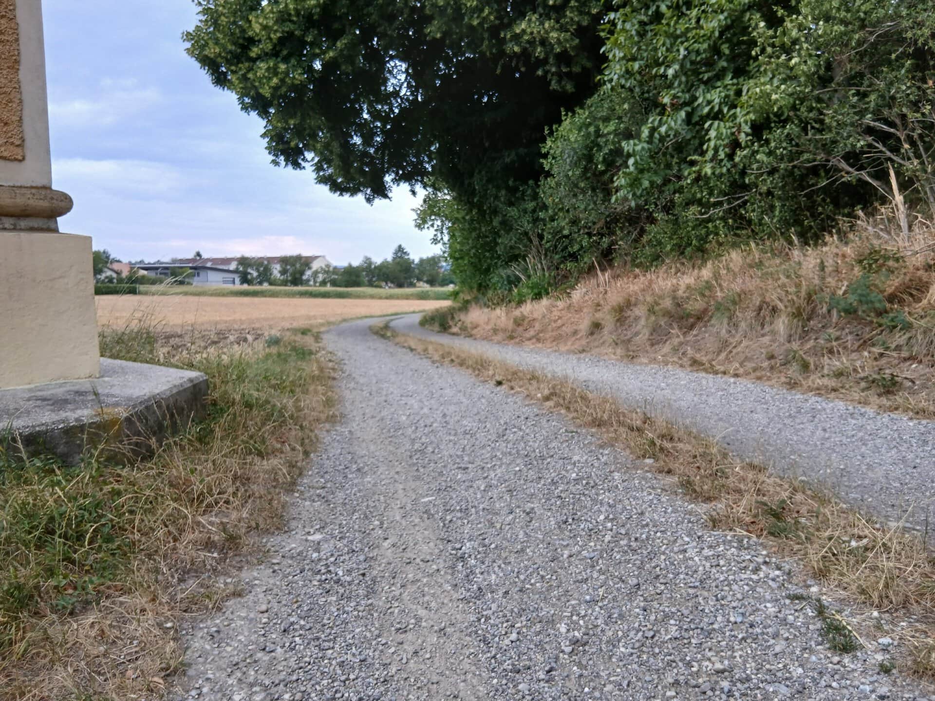Ein Feldweg am Waldrand