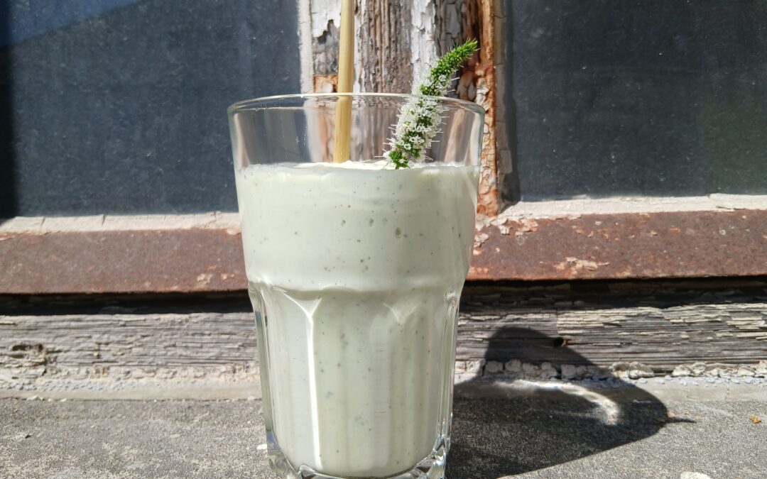 Sommerlicher Zitronenmelissen-Minze-Smoothie